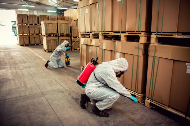 Best Mosquito Control Services  in Saukville, WI