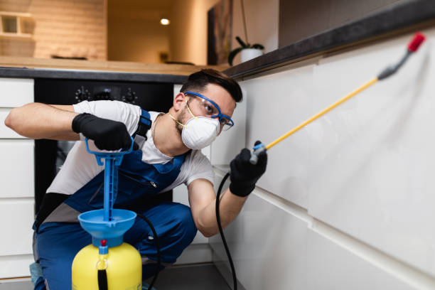 Best Pest Control for Restaurants  in Saukville, WI