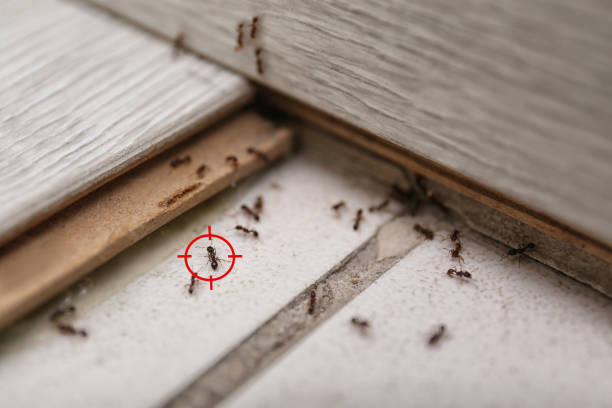Saukville, WI Pest Control Company