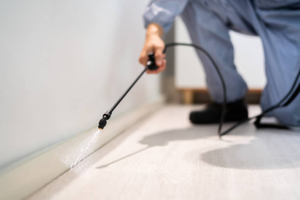 Best Local Pest Control Services  in Saukville, WI
