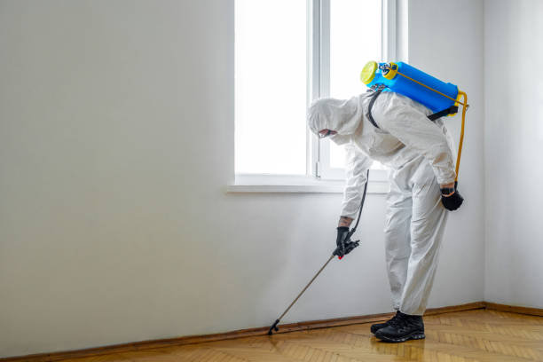 Best Best Pest Control Companies  in Saukville, WI