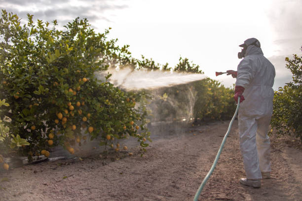 Best Commercial Pest Control Services  in Saukville, WI