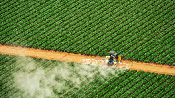 Best Mosquito Control Services  in Saukville, WI