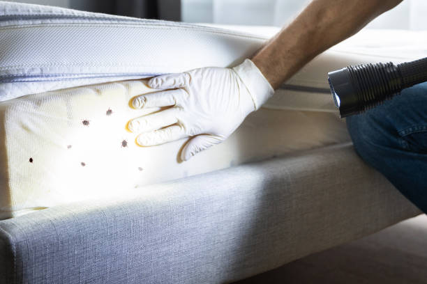 Best Pest Removal Services  in Saukville, WI