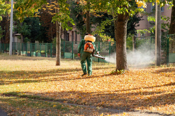 Best Best Pest Control Companies  in Saukville, WI