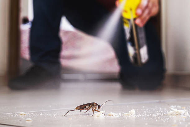 Best Pest Removal Services  in Saukville, WI
