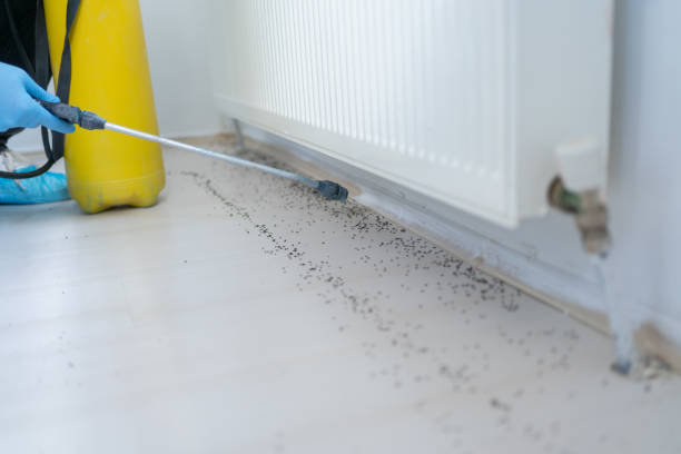 Best Wildlife Control Services  in Saukville, WI