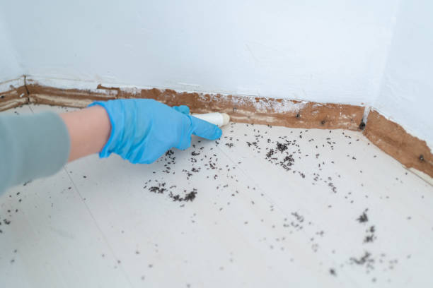 Saukville, WI Pest Control Company